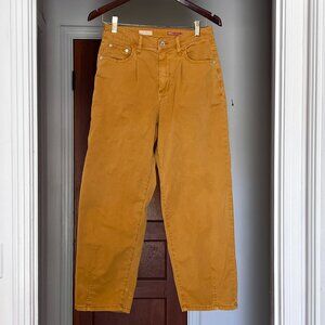 Anthropolgie Pilcro Loose Leg Pant